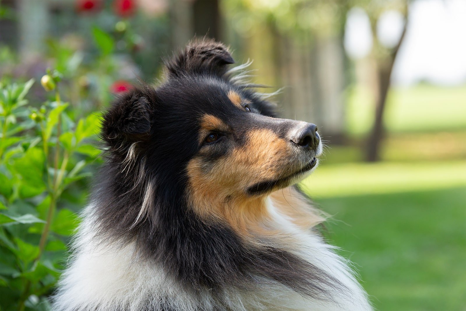 bg marlene van der poort