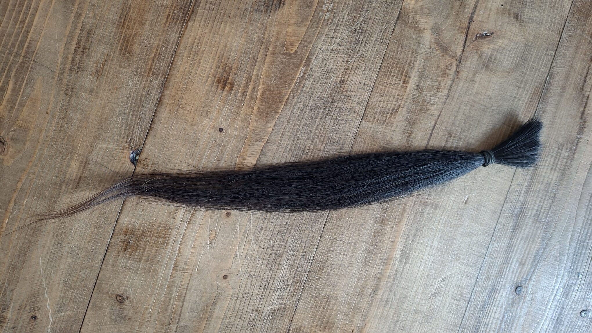 Sieraden van paardenhaar: mag je paardenhaar afknippen voor een sieraad?