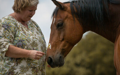 Opstellingen van verlangen en toekomst – werken met wat wil ontstaan