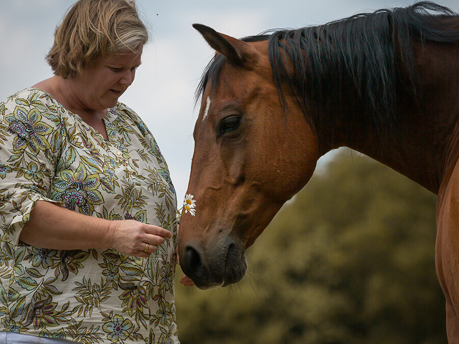 Opstellingen van verlangen en toekomst – werken met wat wil ontstaan