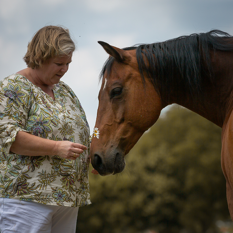 Opstellingen van verlangen en toekomst – werken met wat wil ontstaan